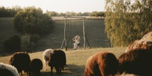 Couple enjoying a serene swing moment surrounded by grazing sheep in a lush pasture.